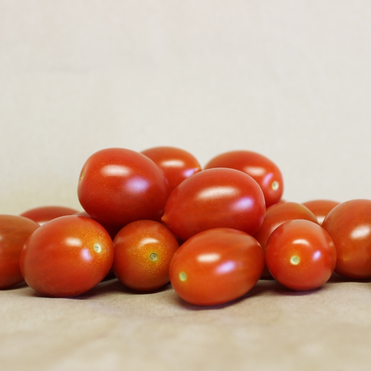 Cocktailtomaten