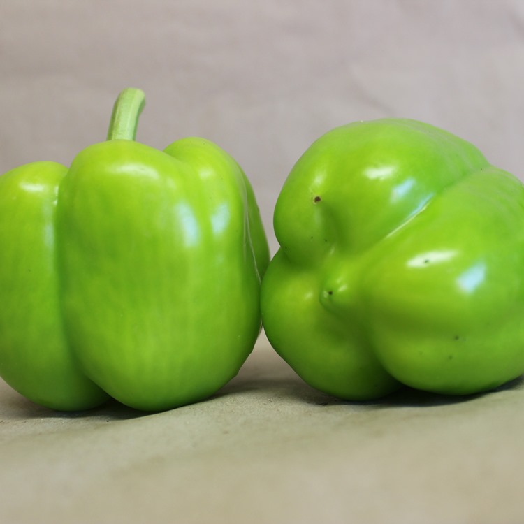 Paprika grün