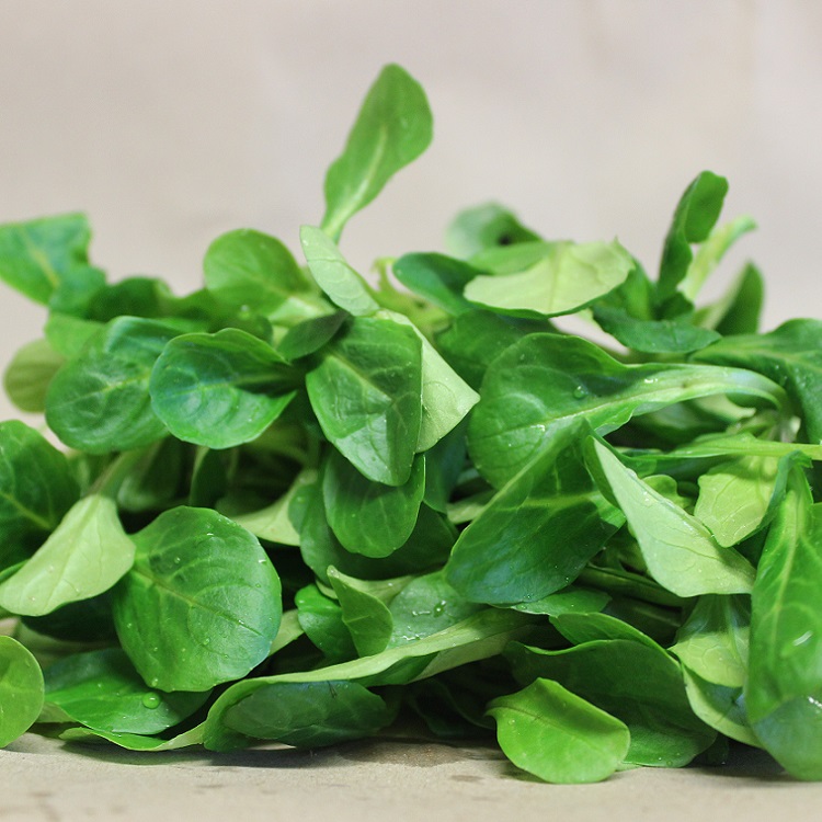 Feldsalat