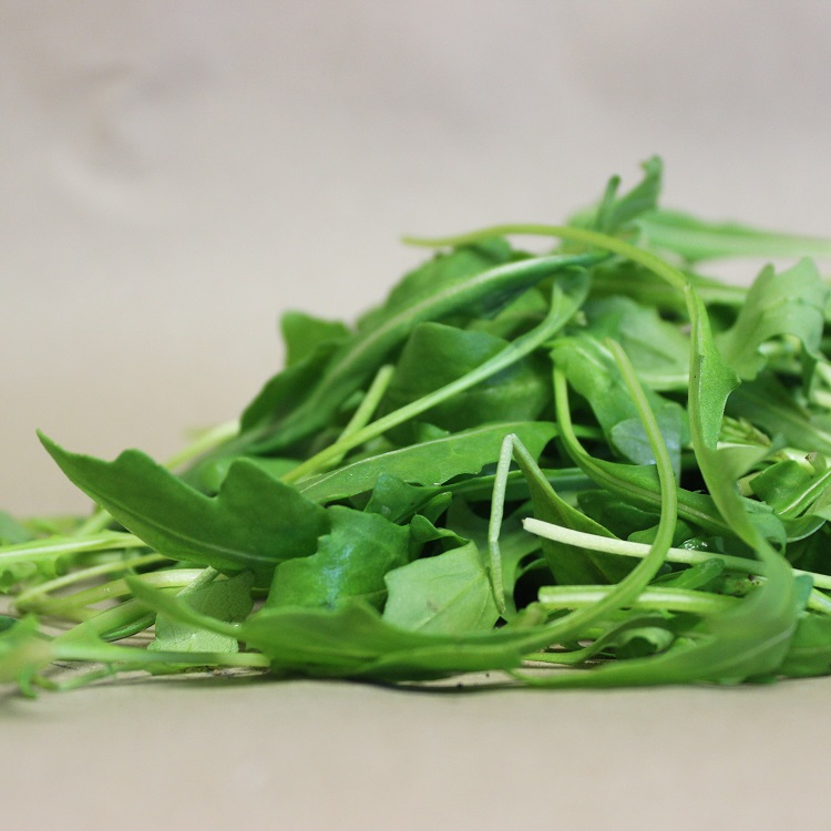 RUCOLA