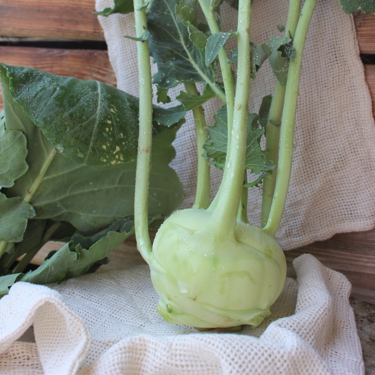 Kohlrabi