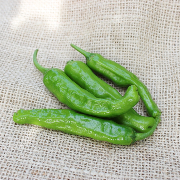 Pimientos
