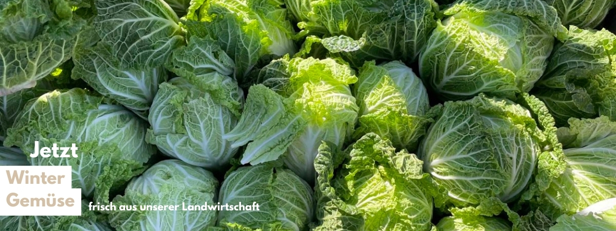 Wintergemüse