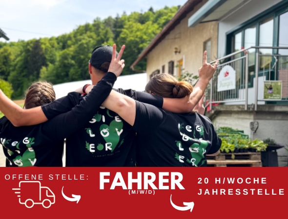 Fahrer - Job Fahrer