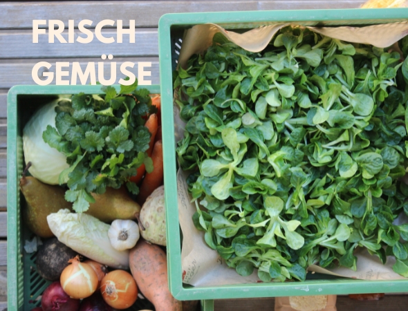 Frischgemüse - Frischgemüse