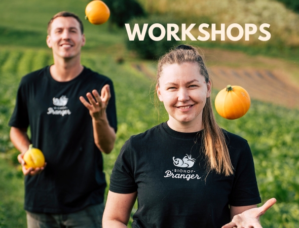 Workshops - Workshops