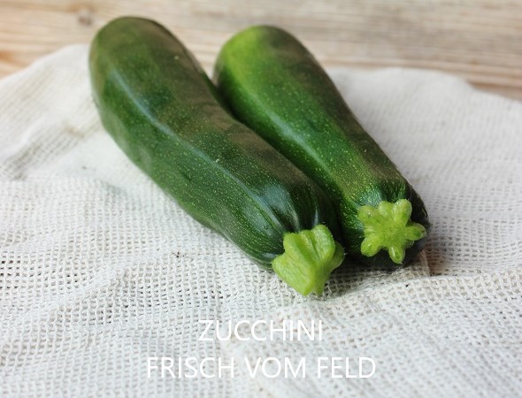 Zucchini frisch vom Feld - Zucchini frisch vom Feld