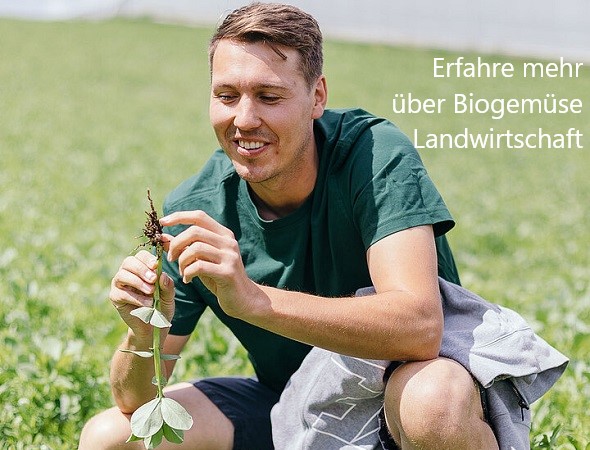 Erfahre mehr über Biogemüse Landwirtschaft - Erfahre mehr über Biogemüse Landwirtschaft